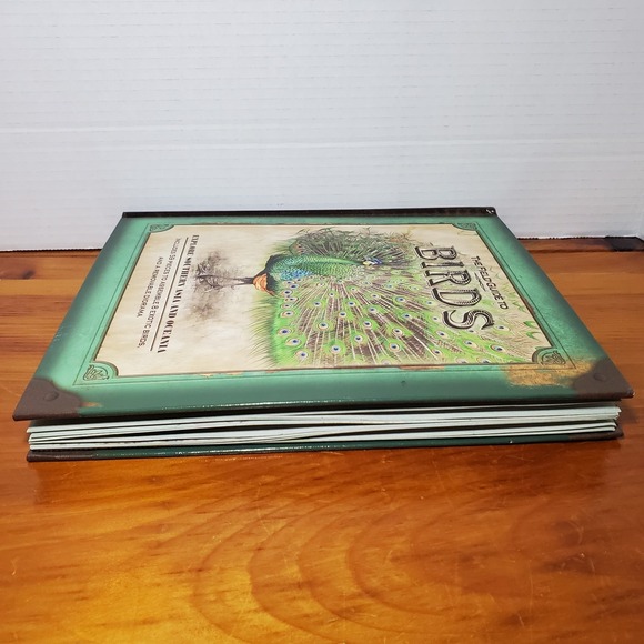 The Field Guide to Birds: Explore Southern Asia and Oceania (No Diorama) Book - Picture 11 of 14